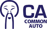 Common Auto