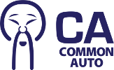 Common Auto